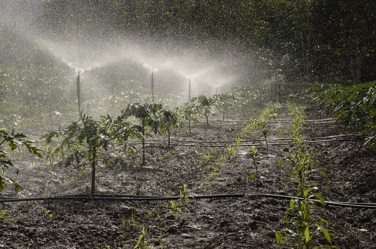 360° Automatic Drip Irrigation Sprinkler