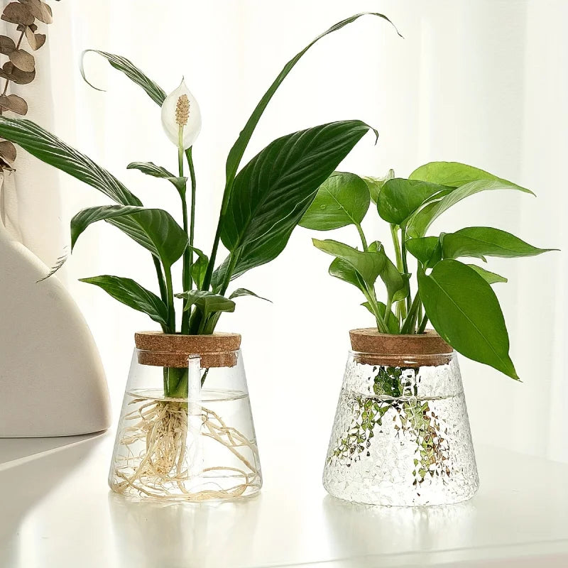 1Pc, Glass Planter Propagation Station Vase Rack Tabletop Hydroponic Plants Cuttings Office Home Decoration