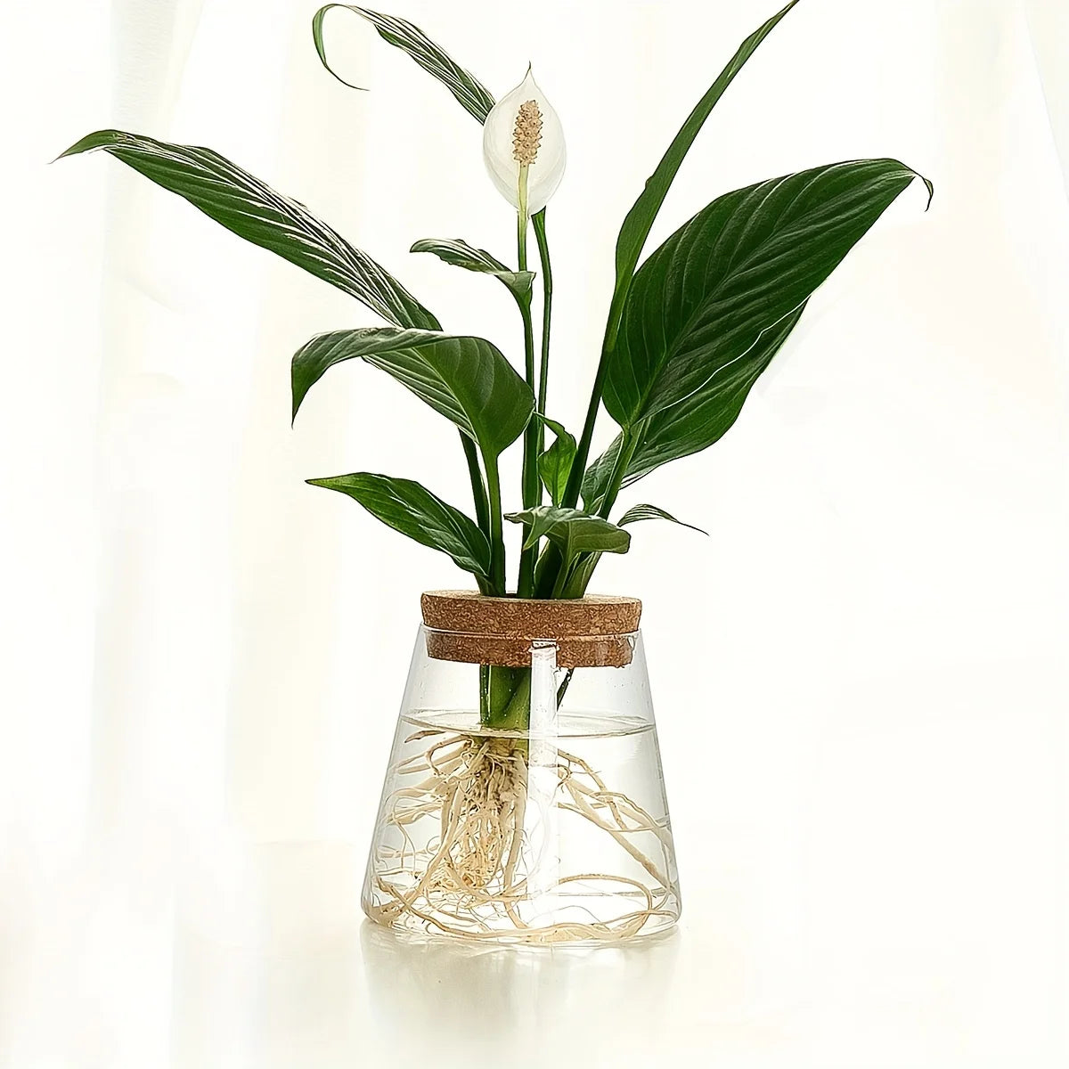 1Pc, Glass Planter Propagation Station Vase Rack Tabletop Hydroponic Plants Cuttings Office Home Decoration