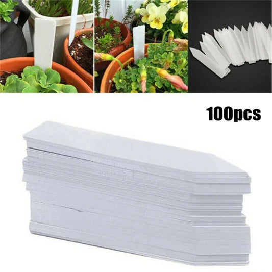 Lazy Flower Pot Self-Watering Plant Flower Pot Planter for Soilless Planting Flowers Tabletop Bonsai Decor Home Garden Supplies
