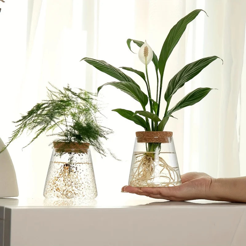 1Pc, Glass Planter Propagation Station Vase Rack Tabletop Hydroponic Plants Cuttings Office Home Decoration