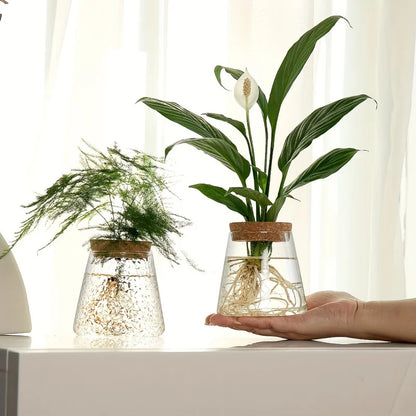 1Pc, Glass Planter Propagation Station Vase Rack Tabletop Hydroponic Plants Cuttings Office Home Decoration
