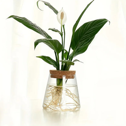 1Pc, Glass Planter Propagation Station Vase Rack Tabletop Hydroponic Plants Cuttings Office Home Decoration