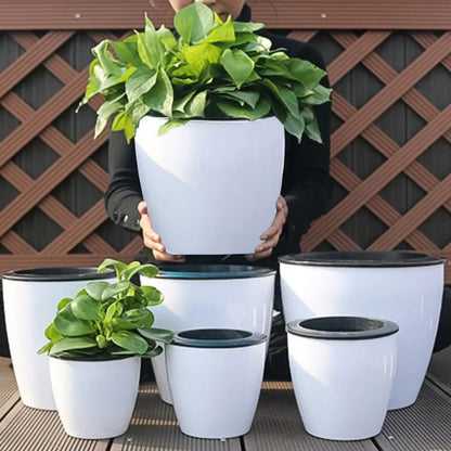 Lazy Flower Pot Self-Watering Plant Flower Pot Planter for Soilless Planting Flowers Tabletop Bonsai Decor Home Garden Supplies