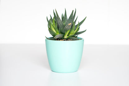 Waterproof Plant Label Markers – 50 or 100 Pack