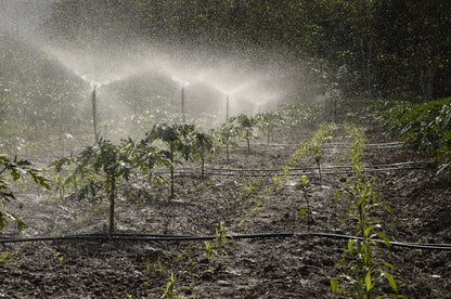 360° Automatic Drip Irrigation Sprinkler