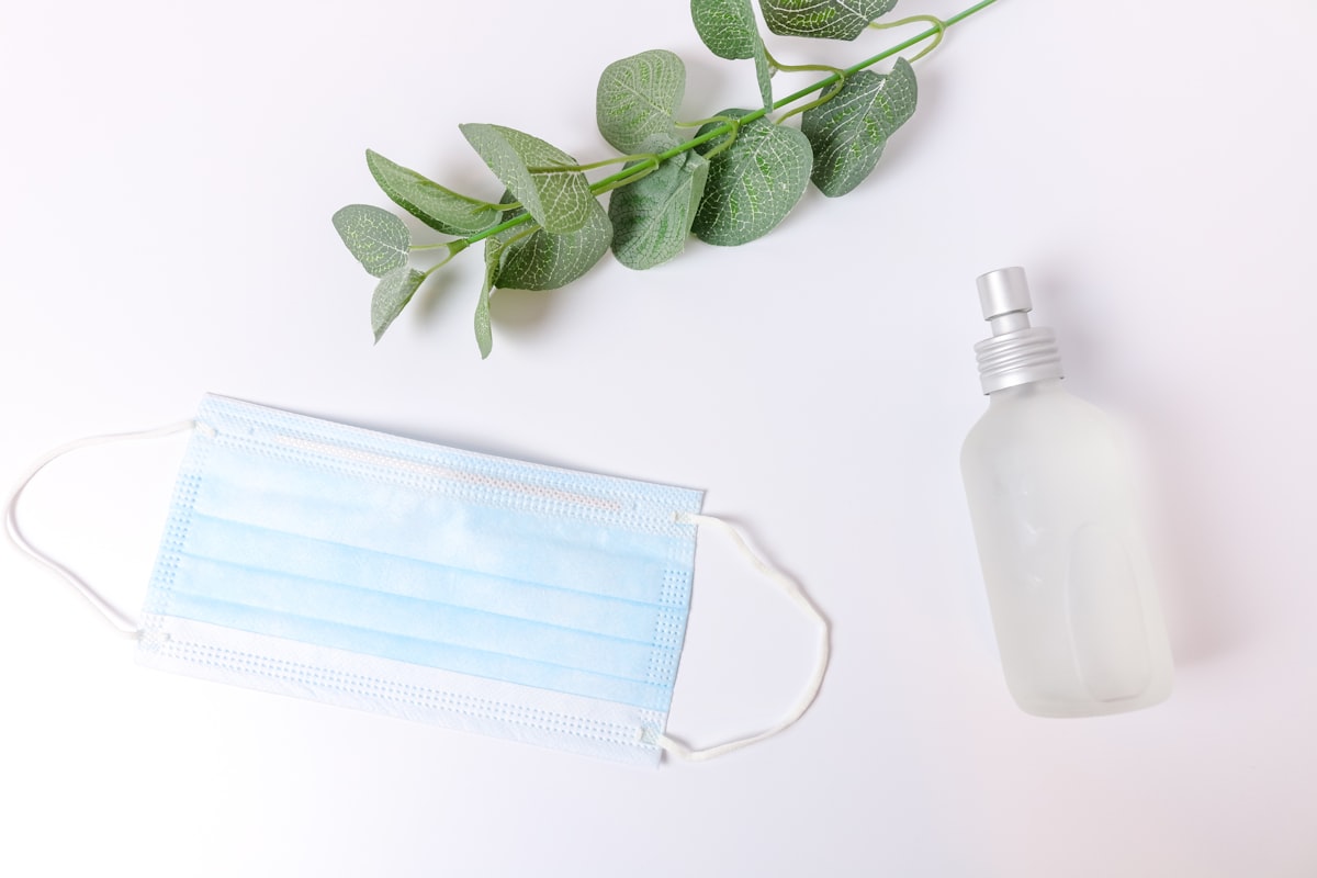Fine Mist Plant Sprayer Bottle – 500ml